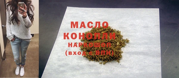 крисы Сатка