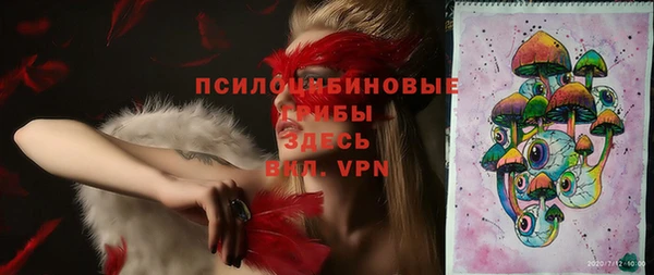 ешки Михайлов