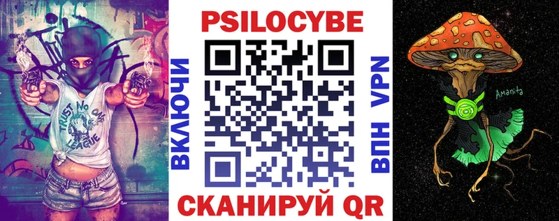 Псилоцибиновые грибы Psilocybine cubensis  где купить   Чулым 
